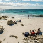 wukalina walk bay of fires