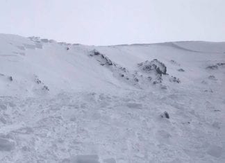 Skier caught in terrifying avalanche in Hotham backcountry