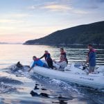 Bottlenose dolphins in Port Davey’s Bramble Cove at sunset.