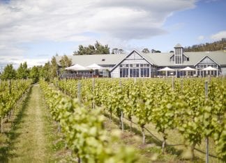 Tasmania’s best cellar doors for a wine and dine summer