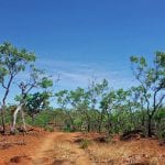 Jatbula trail