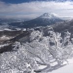 Bec Tonks Niseko