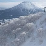 NIseko Bec Tonks