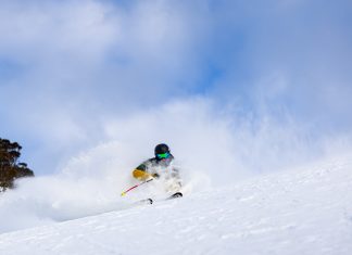 Thredbo just dropped their season passes and event calendar!!