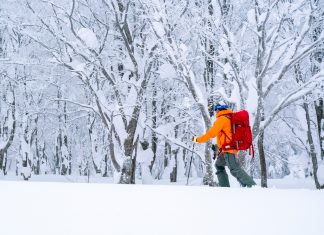 7 reasons to ski and board Tohoku on your next Japan snow holiday!