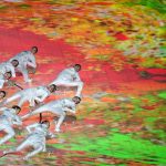Beijing Paralympics Opening Ceremony