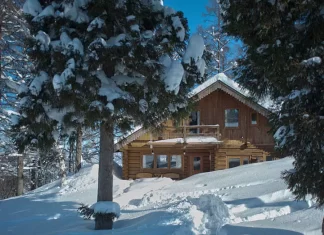 Avocado toast, a house in Sydney or any of these ski properties overseas