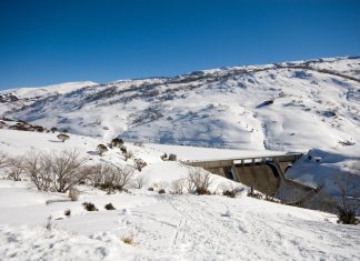 Police appeal for help: missing backcountry skier in the Snowy Mountains