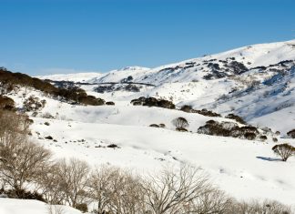 Missing backcountry skier, body found in Kosciuszko National Park