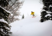 How to powder ski – five tips from a top instructor to help you improve