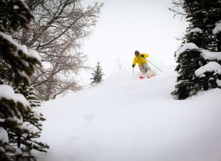 How to powder ski – five tips from a top instructor to help you improve