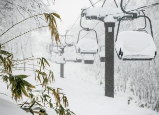 Australian man in his 20s has died while skiing in the Niseko region