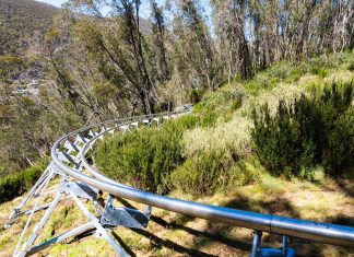 Thredbo’s alpine coaster under construction, launches this winter