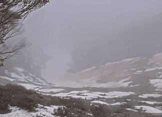 Hotham to close 2024 ski season on Wednesday due to snow conditions