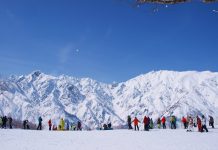 Rent your ski/board gear in Japan vs bring your own – which is better?