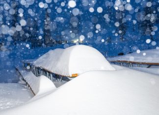 Both Mammoth and Palisades in-resort avalanches, ski patroller seriously injured