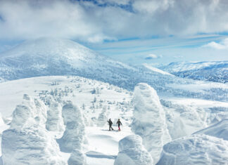 We need to talk about Tohoku, Japan’s snowiest place…