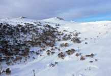 We’ve found Australia’s most unique ski destination, Charlotte Pass