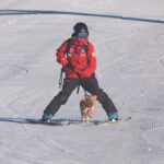 Mt Buller’s Chilli dog