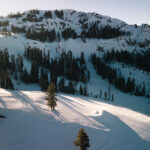 peregrine2_1-30-24_vzh